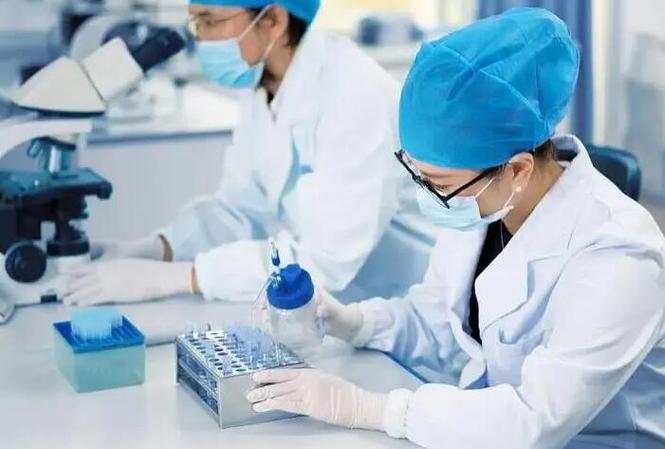 包生男孩成功率高不高(包生男孩成功率究竟有多高？)