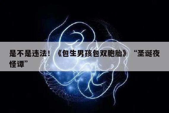 包生男孩找谁-包生男孩找谁：寻找真正的自我