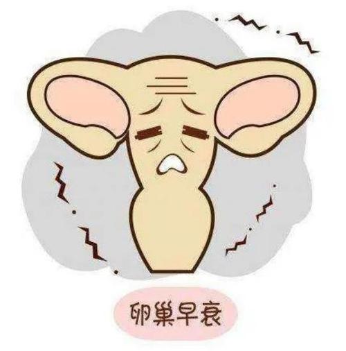 找人试管代怀是真的吗-试管代怀是真的吗?找人代孕真的可靠吗?