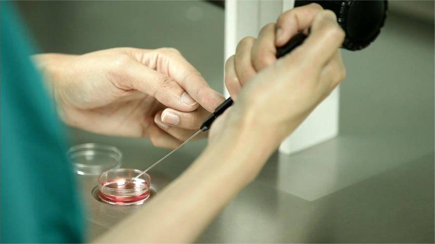 外国试管代怀_外国试管代怀：跨国代孕的全新选择