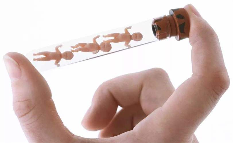 包生男孩过程-包生男孩:一个奇特的成长过程