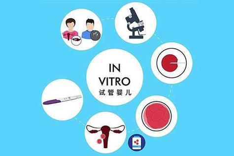 国内借卵试管代怀哪家好(国内借卵试管代怀哪家好?选择最适合的代孕机构就是成功的一半)